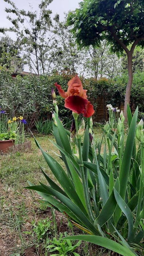 Maison Lumineuse Et Spacieuse Avec Jardin Arbore La Valette-du-Var Exteriör bild