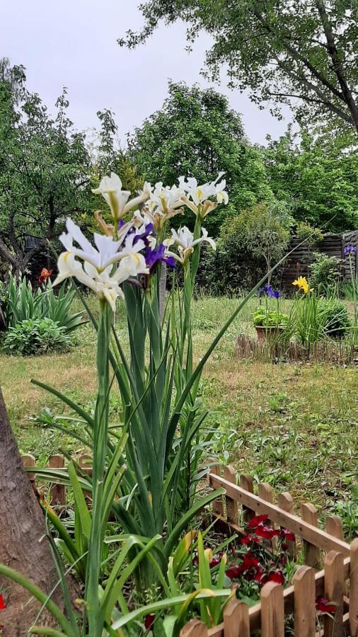 Maison Lumineuse Et Spacieuse Avec Jardin Arbore La Valette-du-Var Exteriör bild